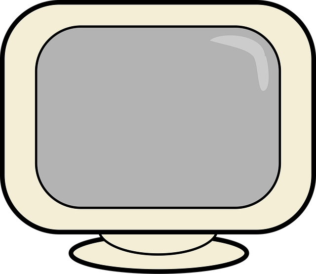 Overvåge, Skærm, Hardware, Video