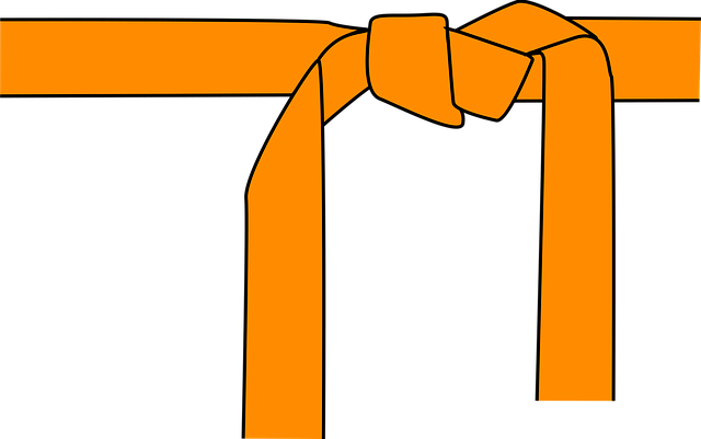 Free judo karate belt vector