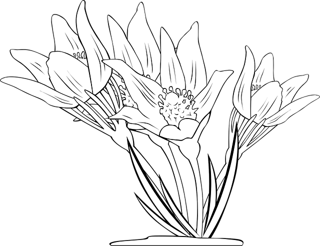 Free anemone flowers plant vector