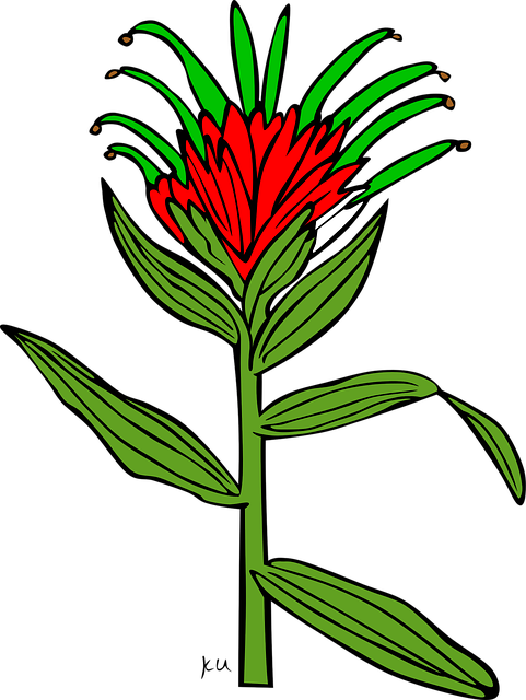 Free flower red flower background vector