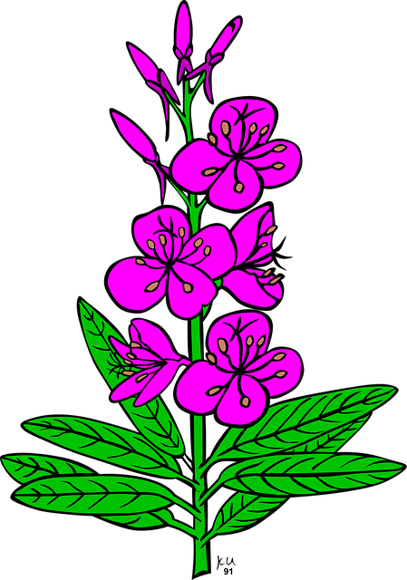 Free flowers purple flower wallpaper vector
