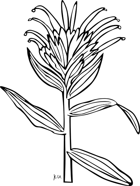 Free flower blossom nature vector