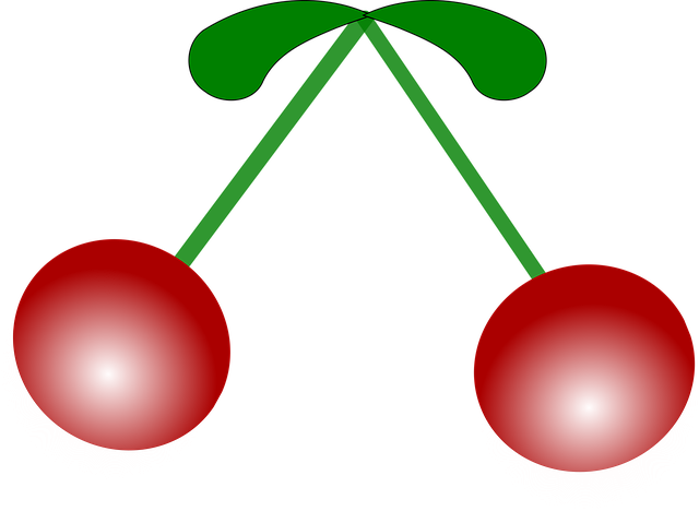 Free cherries double red illustration
