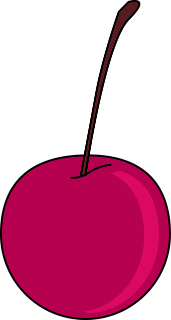 Free cherry fruit berry illustration
