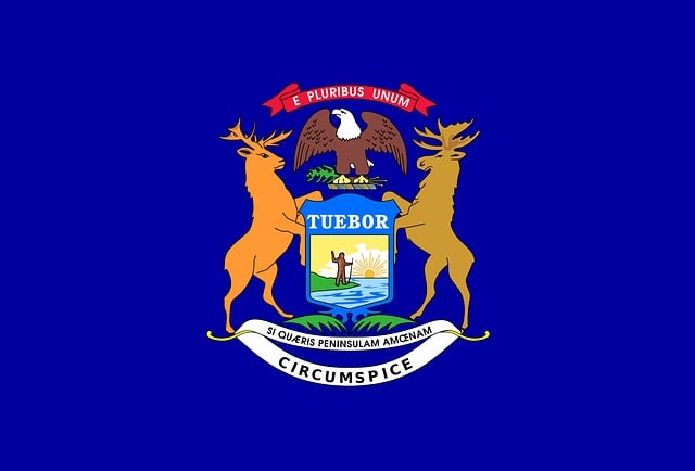 Free michigan flag state illustration
