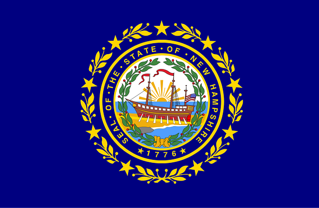 Free new hampshire flag vector