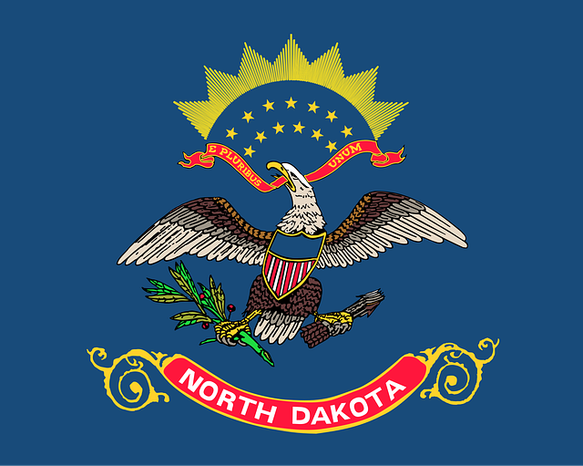 Free north dakota flag state vector