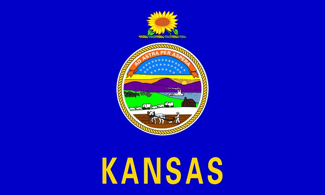 Free kansas flag state vector