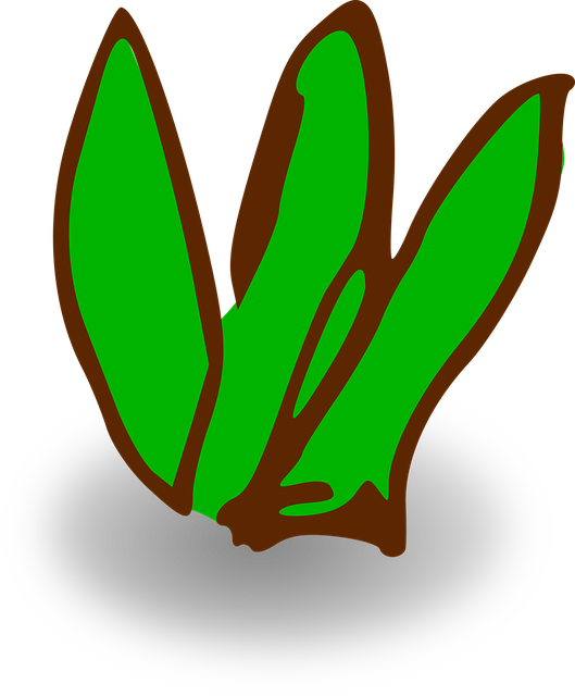Free grass spring summer vector