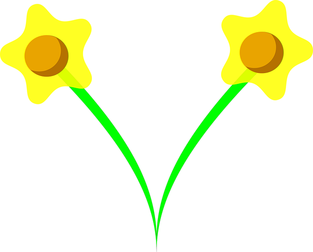 Free daffodil narcissus nature vector