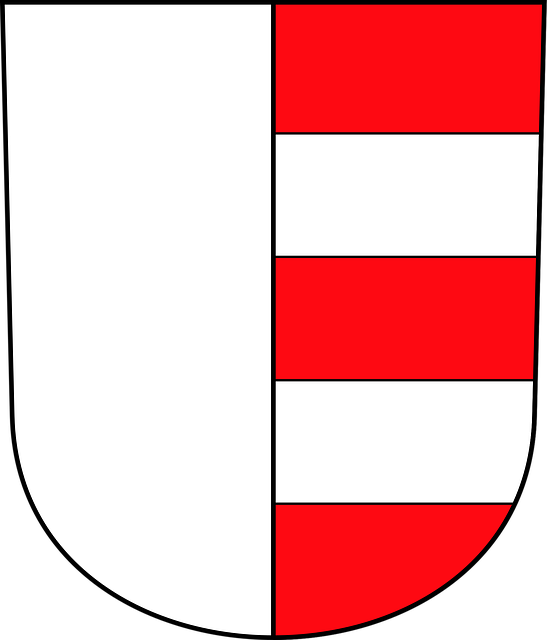 Free uster coat of arms city vector