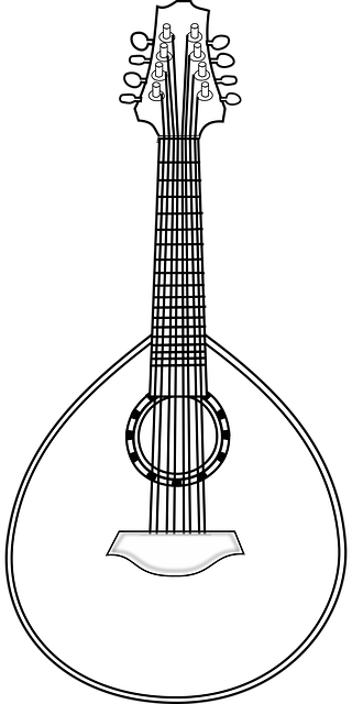 Free lute instrument string illustration