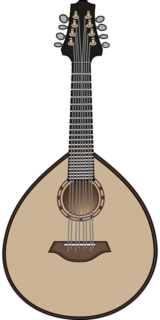 Free lute instrument music vector