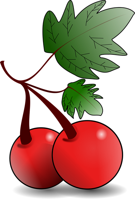 Cerezas, Fruta, Rojo, Tallos, Comida