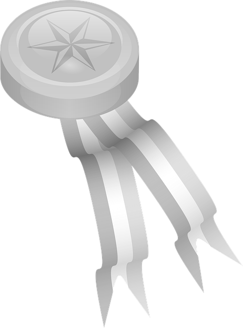 Free silver medallion second vector