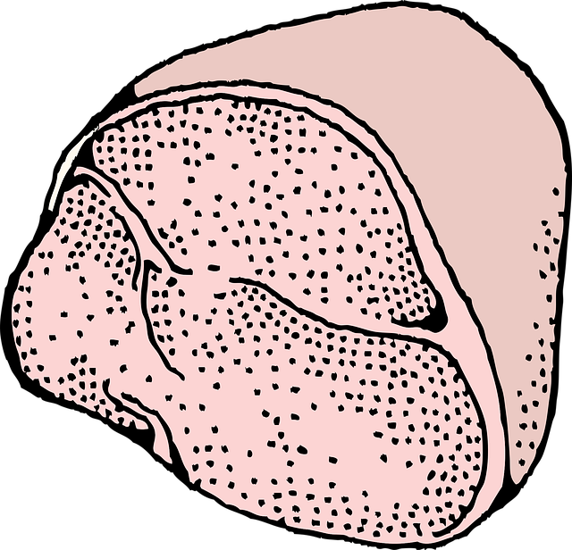 Free ham pork meat illustration