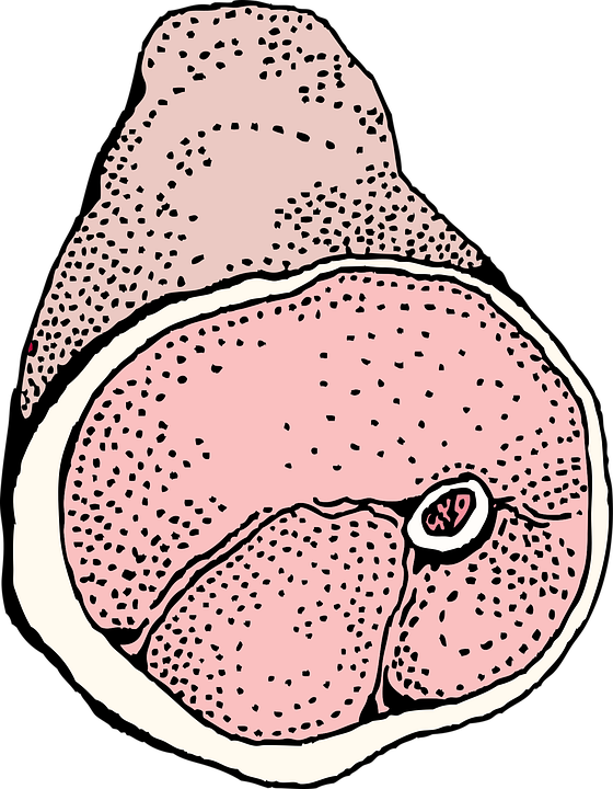 jambon de porc fume epaule images vectorielles gratuites sur pixabay images vectorielles gratuites sur pixabay