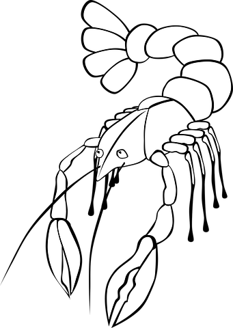 200+ Free Crayfish &amp; Lobster Images - Pixabay