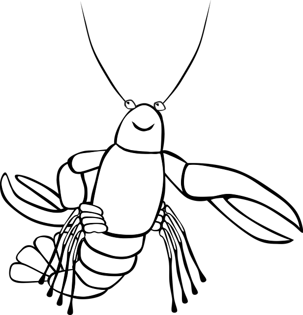 Free crayfish nature sea vector