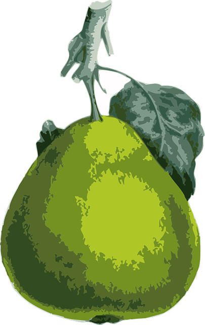 Download free HD stock image of Pear Fruit Free pear fruit tree vector