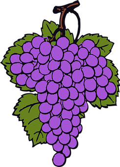 20 Free Cluster Grapes Vectors Pixabay