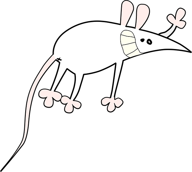 Free Mouse Small vector and picture