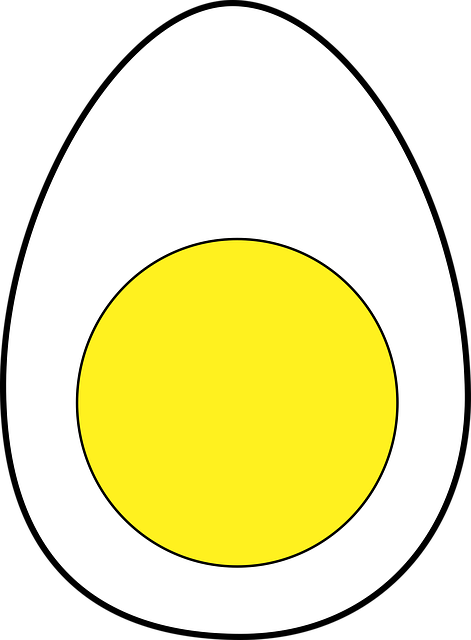 Free egg white yellow illustration