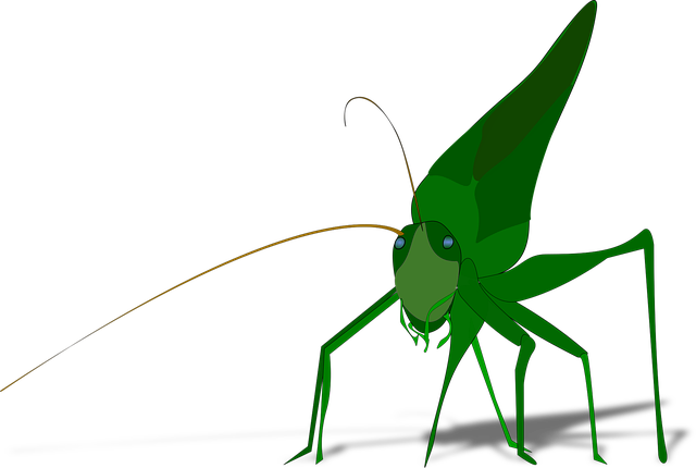 Free bug insect grasshopper illustration