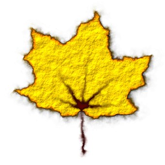 Free Yellow Leaf Fall illustration and picture