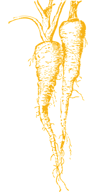 Free carrot healthy fresh vector