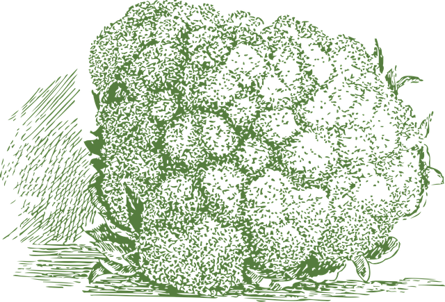 Free cauliflower vegetable veggie vector