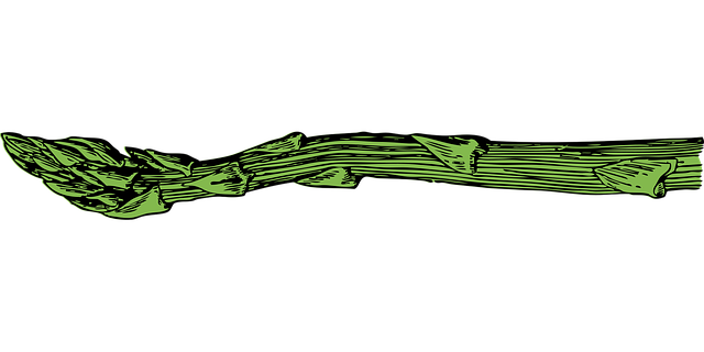 Free asparagus antioxidants plant illustration