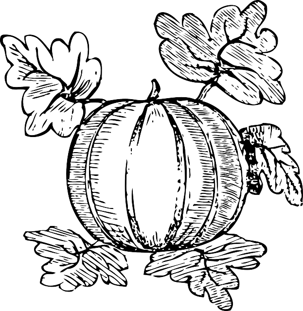 Line Drawing Zucchini : Free vector graphic melon fruit watermelon nutrition