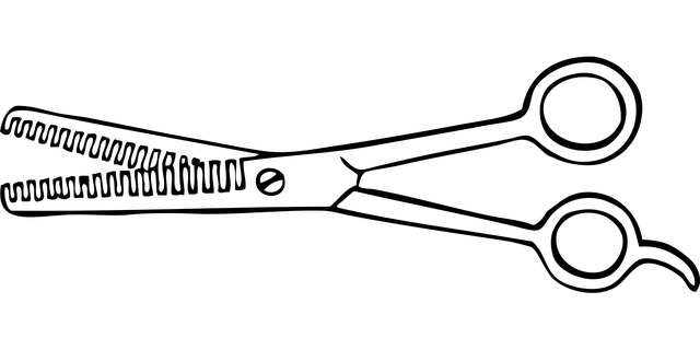 Verdünnung, Schere, Klinge, Fachmann
