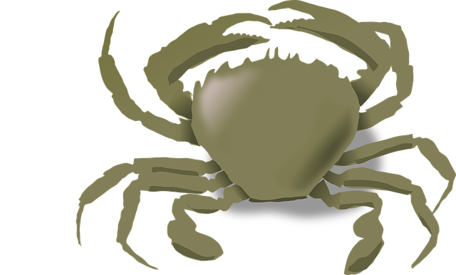 Free crab claws sea illustration