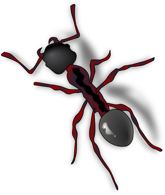 Free ant insect eusocial vector