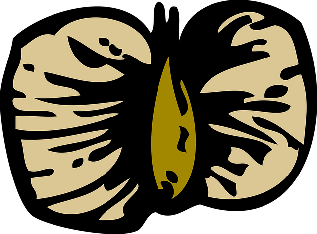 Free birch seed brown vector