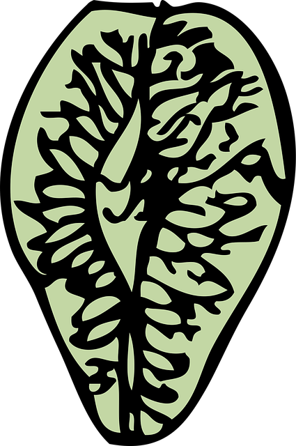 Free elm seed tree vector