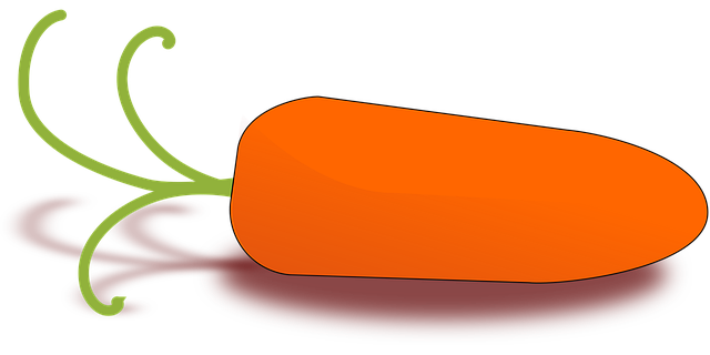 Free carrot root vegetable vector