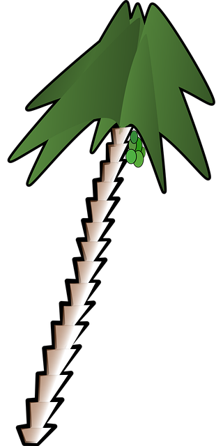 Free date palm tree vector