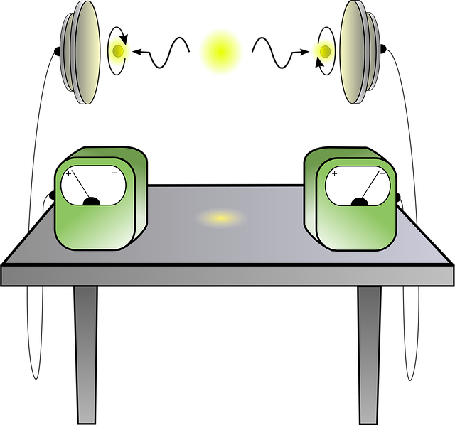 Free paradox experiment quantum vector