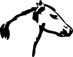 horse, head, face