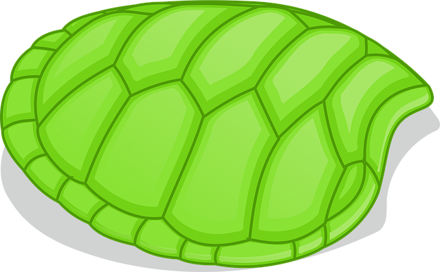 Free tortoise patterns shell vector