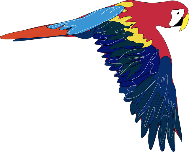 Download free HD stock image of Parrot Bird Free parrot bird fly vector