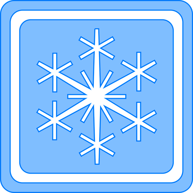 Free snowflake flake snow vector