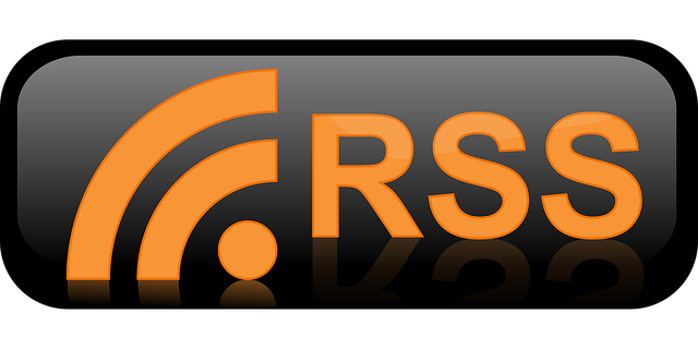 Free button rss icon vector