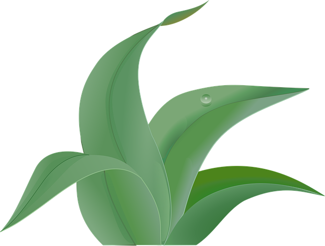 Free green leafy nature vector