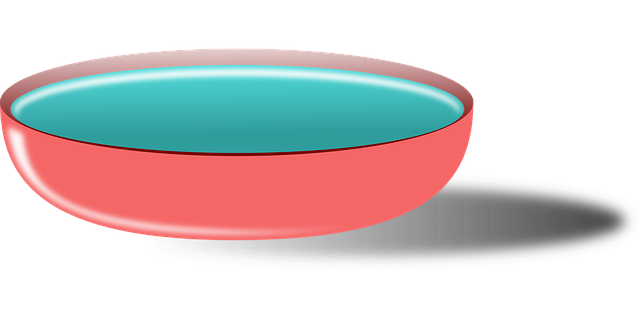 Free plate bowl food vector