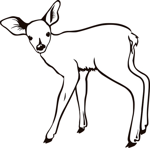 Download free HD stock image of Deer Animal Free deer animal nature vector