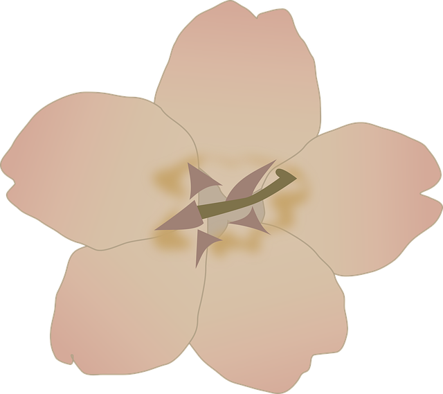 Free flower blossom bloom illustration